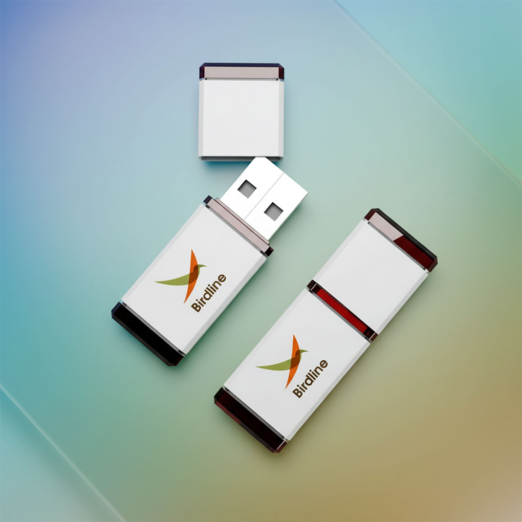 Custom branded USB flash drives with full color company logo printing for business promotions in Dubai